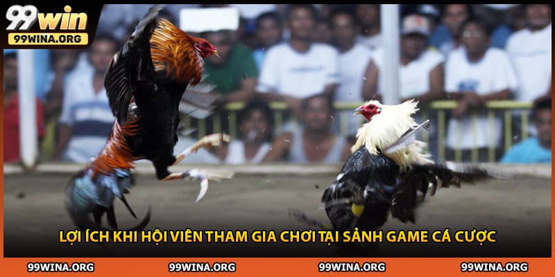 Lợi ích khi hội viên tham gia chơi tại sảnh game cá cược
