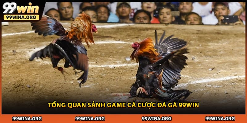 Tổng quan sảnh game cá cược đá gà 99WIN